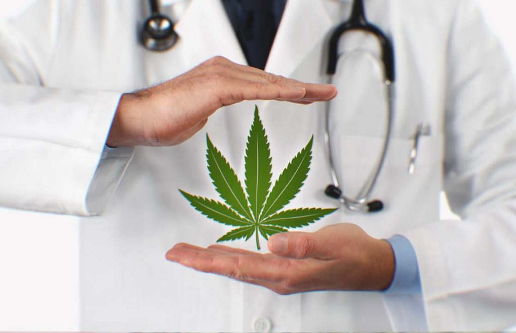 37 Cannabis And Cancer Studies