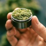 How-cannabis-treats-inflammation