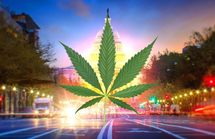 How To Get Medical Marijuana If You Live In Washington