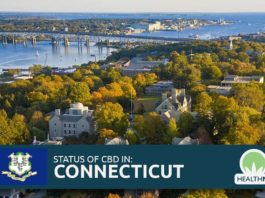Connecticut CBD Laws: 2019 Legal Hemp Regulations in CT, US