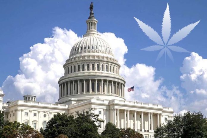 Federal Lawmakers Urged for Lawful CBD Marketing Rules by Dietary Supplement Proponents
