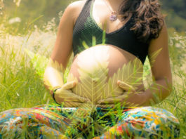 cannabis-pregnancy-thc-research-study